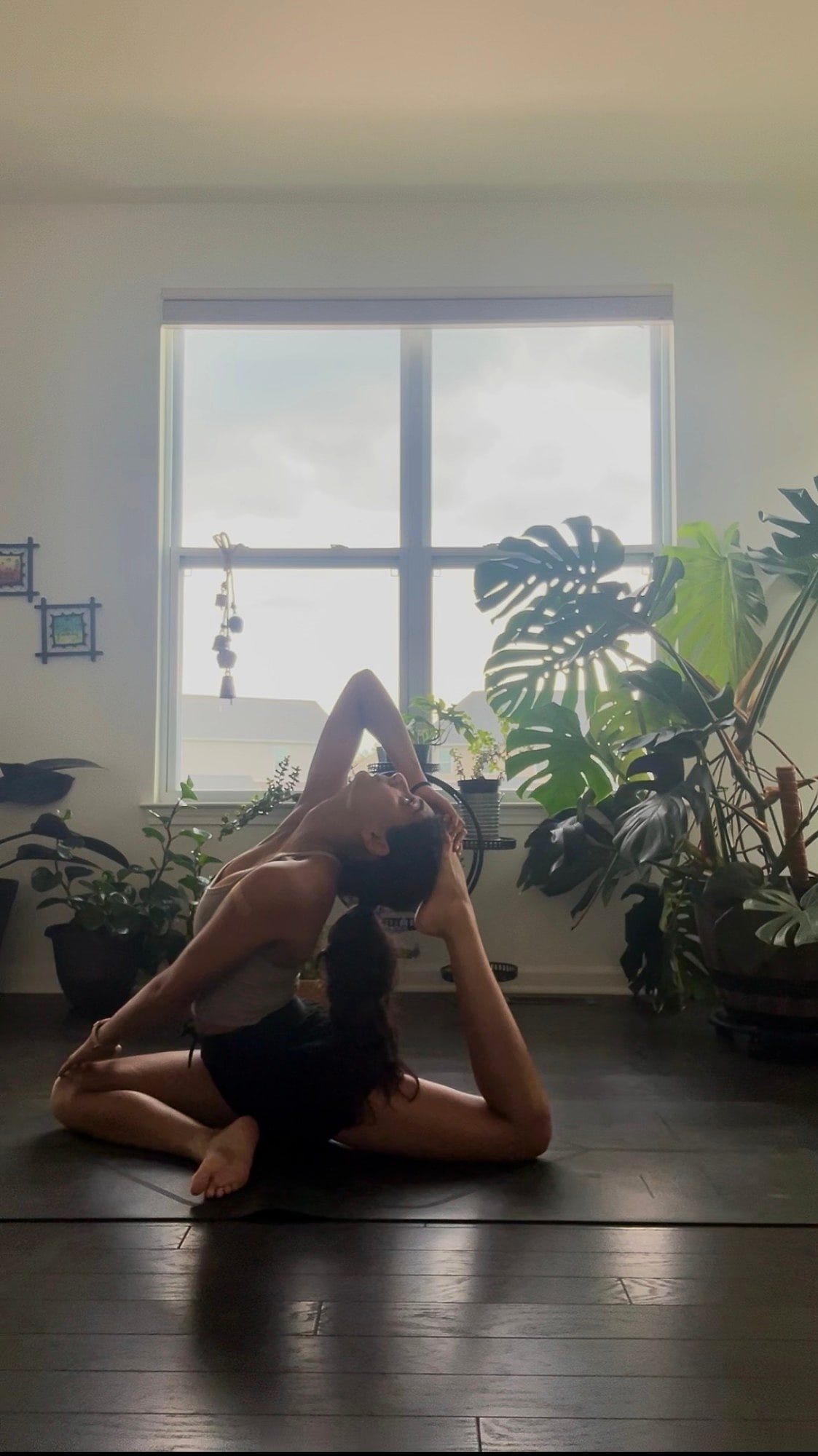 Saniya in a deep kneeling backbend by a bright window, surrounded by monstera and potted plants