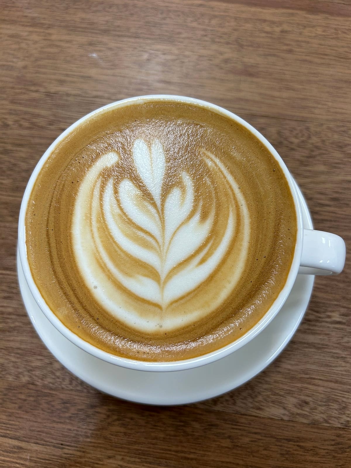 A latte with leaf art on a white saucer on a wooden table