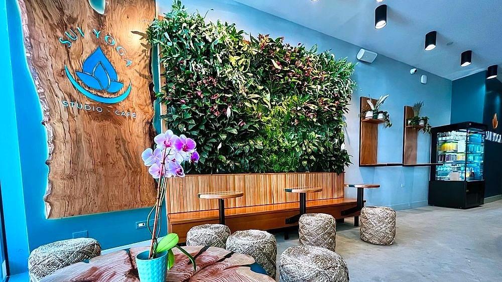 A lounge with a living plant wall, wooden benches and woven stools