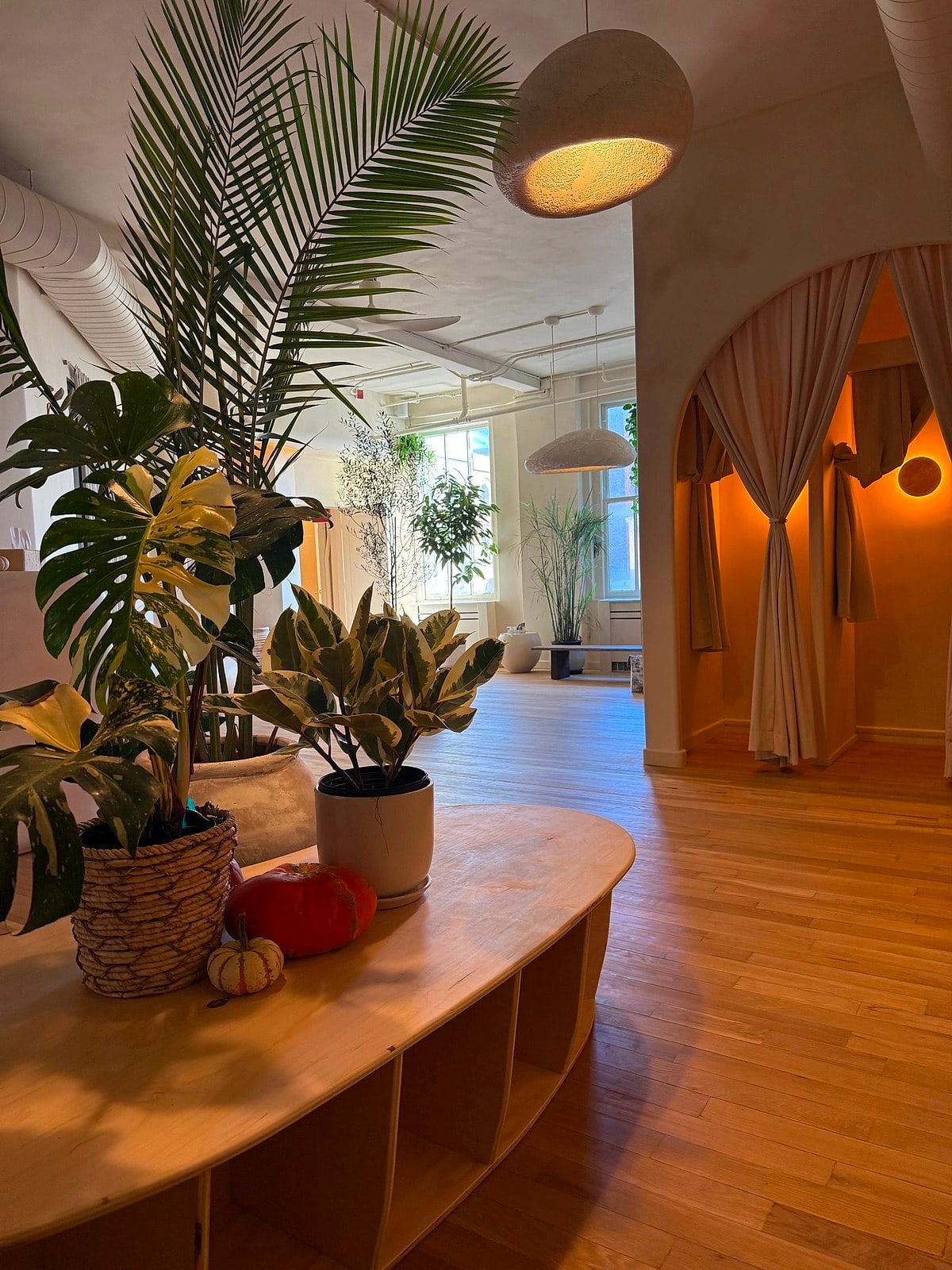 A lounge full of plants, with an arched doorway glowing amber